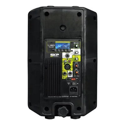 PARLANTE PX208